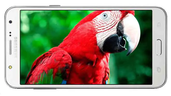 Samsung Galaxy J5 Display